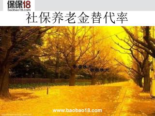 社保养老金替代率