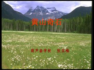 黄山奇石