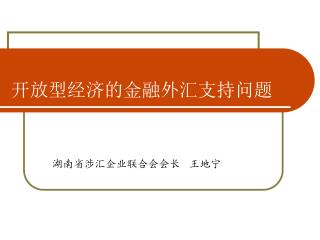 开放型经济的金融外汇支持问题