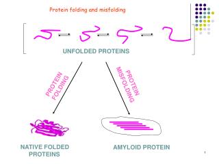 UNFOLDED PROTEINS