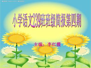 小学语文 239 班班级简报第四期
