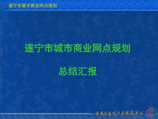 遂宁市城市商业网点规划 总结汇报