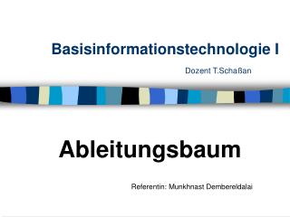 Basisinformationstechnologie I Dozent T.Schaßan