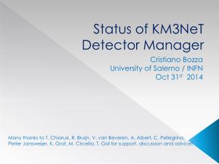 Status of KM3NeT Detector Manager