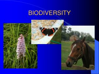 BIODIVERSITY