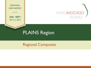 PLAINS Region