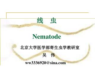 线　虫 Nematode