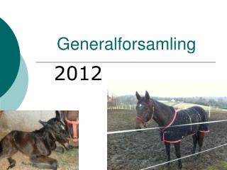 Generalforsamling