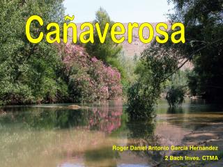 Cañaverosa