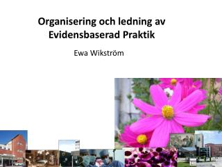 Organisering och ledning av Evidensbaserad Praktik