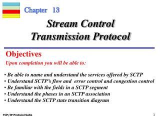 Chapter 13