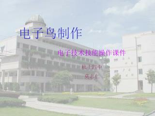 电子鸟制作