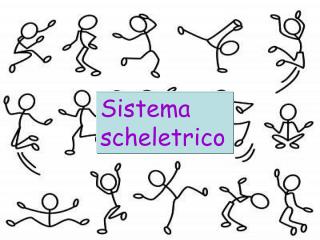 Sistema scheletrico