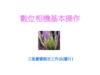 三星圖書館志工作品 ( 圖片 )
