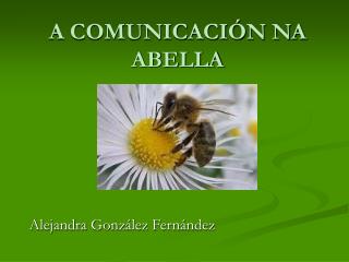 A COMUNICACIÓN NA ABELLA