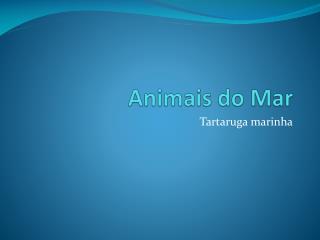 Animais do Mar