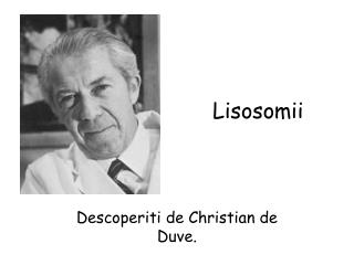 Lisosomii