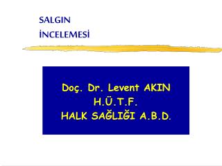 SALGIN İNCELEMESİ