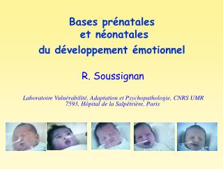 Bases prénatales et néonatales du développement émotionnel