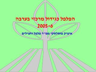 הפלפל כגידול מרכזי בערבה 2005-6