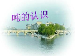 吨的认识