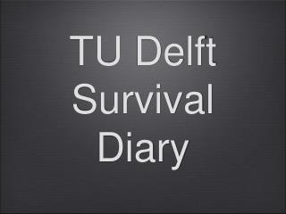 TU Delft Survival Diary