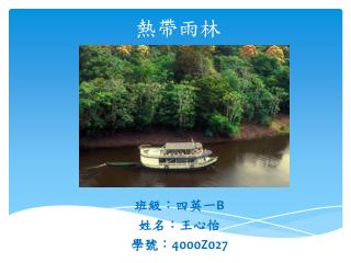 熱帶雨林
