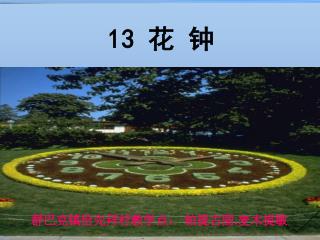 13 花 钟
