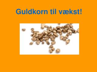 Guldkorn til vækst!