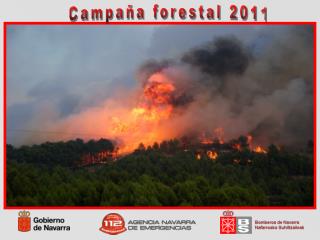 Campaña forestal 2011