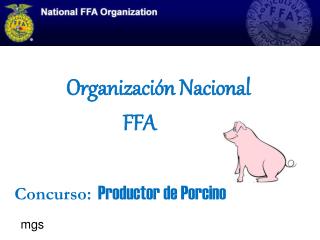 Organizaci ón Nacional