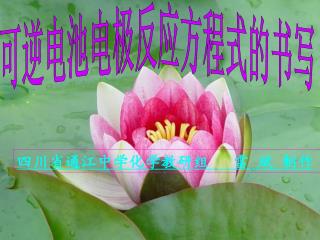 可逆电池电极反应方程式的书写