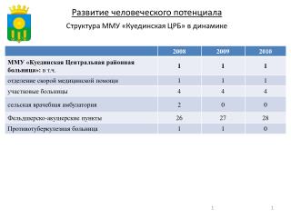 Структура ММУ «Куединская ЦРБ» в динамике