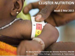 CLUSTER NUTRITION Jeudi 2 Mai 2013 M. Bakary Koné, Gestionnaire des données Nutrition, DNS/DN