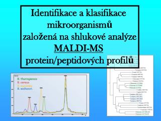 Identifikace a klasifikace mikroorganismů založená na shlukové analýze MALDI-MS