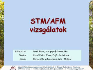 STM/AFM vizsgálatok