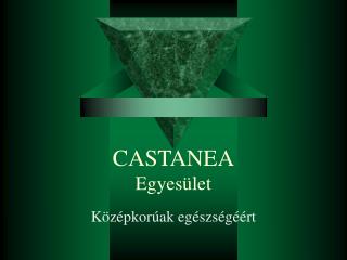 CASTANEA Egyesület