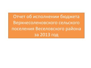 Отчет об исполнении бюджета Верхнесоленовского сельского поселения Веселовского района за 2013 год