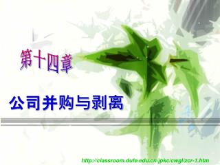 公司并购与剥离