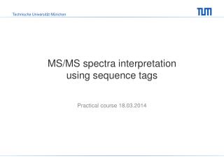 MS/MS spectra interpretation using sequence tags