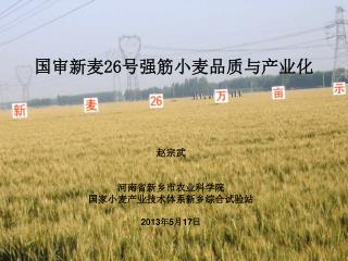 国审新麦 26 号强筋小麦品质与产业化