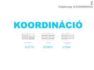 KOORDINÁCIÓ