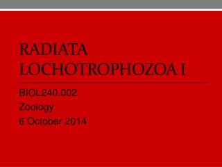 Radiata lochotrophozoa I
