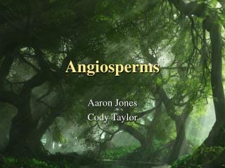 Angiosperms