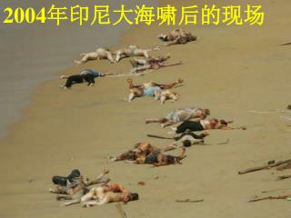 2004 年印尼大海啸后的现场