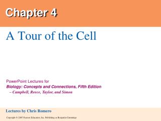 Chapter 4