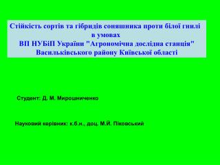 Стійкість сортів та гібридів соняшника проти білої гнилі в умовах