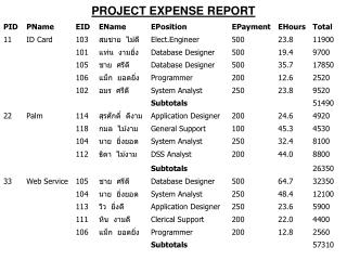 PROJECT EXPENSE REPORT