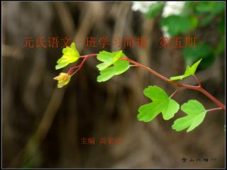 元氏语文一班学习简报 第五期
