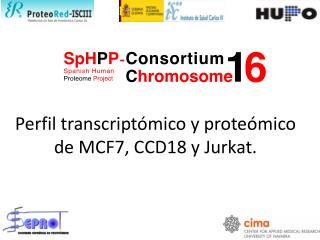 Perfil transcriptómico y proteómico de MCF7, CCD18 y Jurkat .